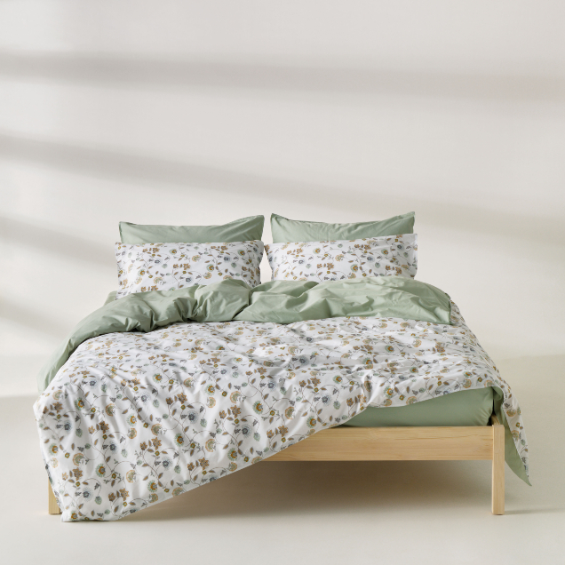 ΠΑΠΛΩΜΑΤΟΘΗΚΕΣ