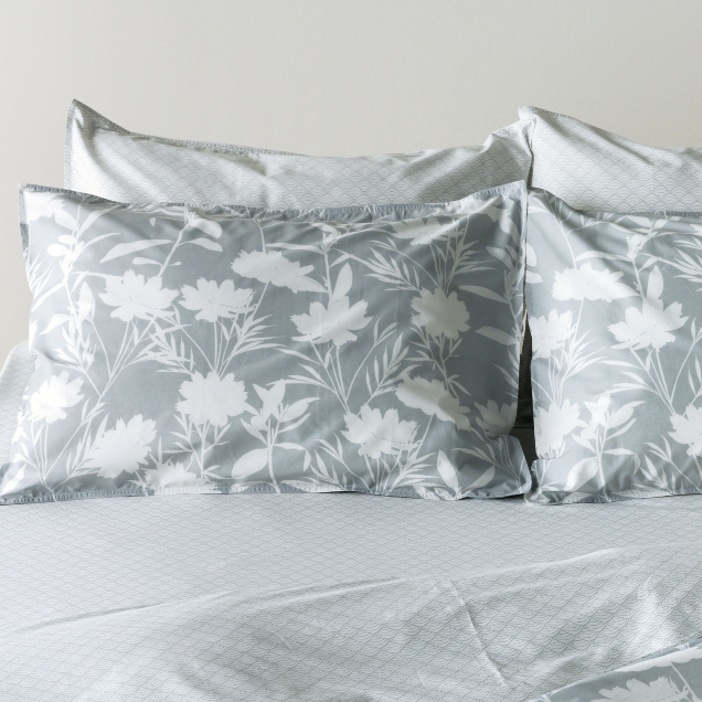 ΜΑΞΙΛΑΡΟΘΗΚΕΣ