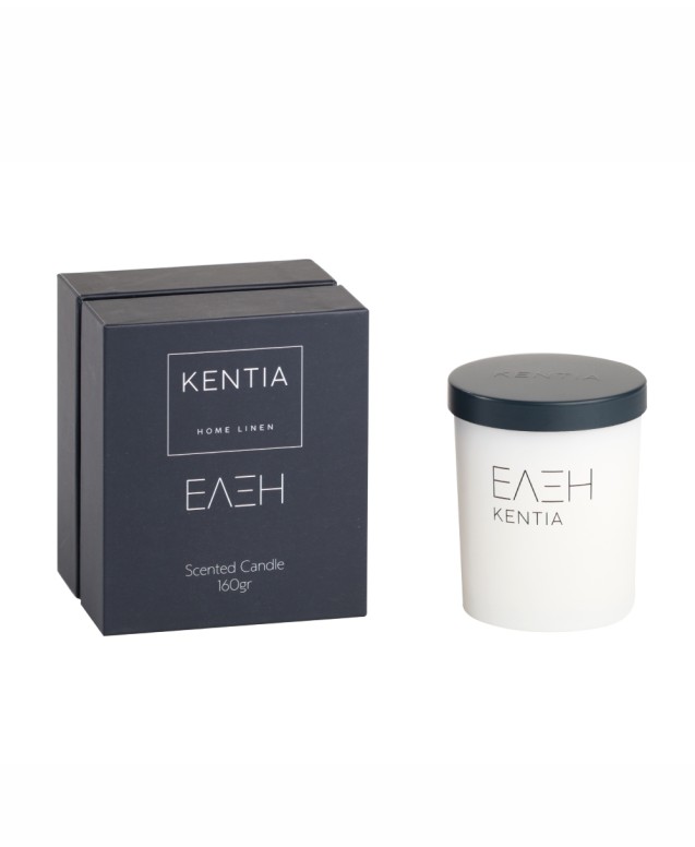 MOOD 25 ΕΛΞΗ SCENTED CANDLE FROSTED GINGERBREAD Decorations