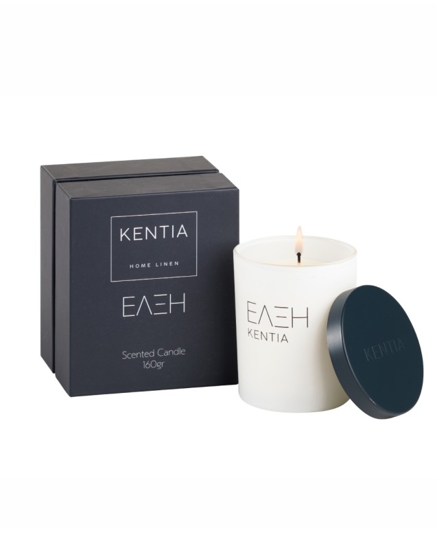 MOOD 25 ΕΛΞΗ SCENTED CANDLE FROSTED GINGERBREAD Decorations
