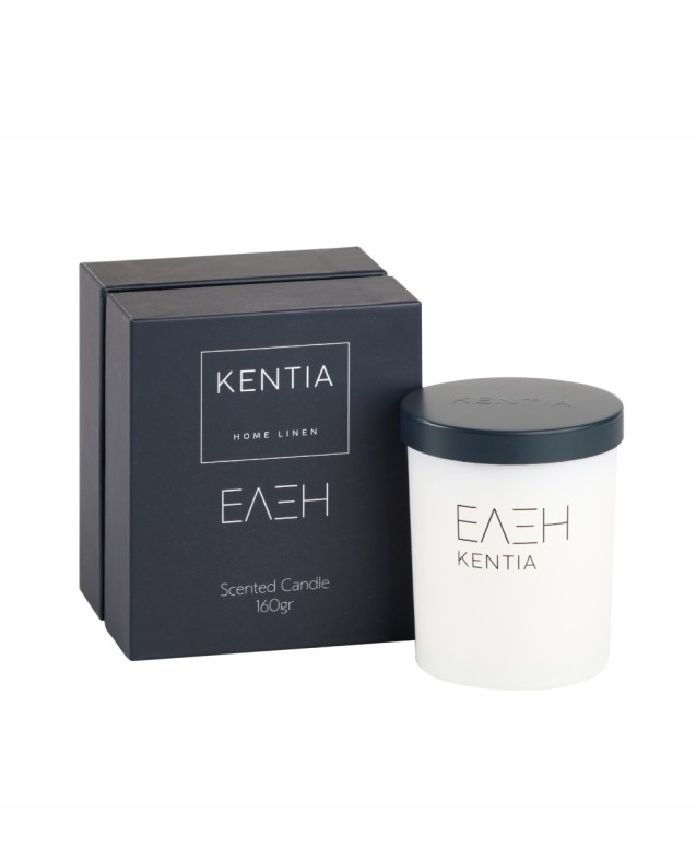 MOOD 25 ΕΛΞΗ SCENTED CANDLE FROSTED GINGERBREAD Decorations